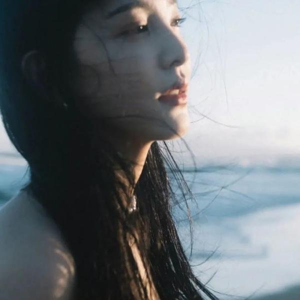 盗贼泰瑞莎